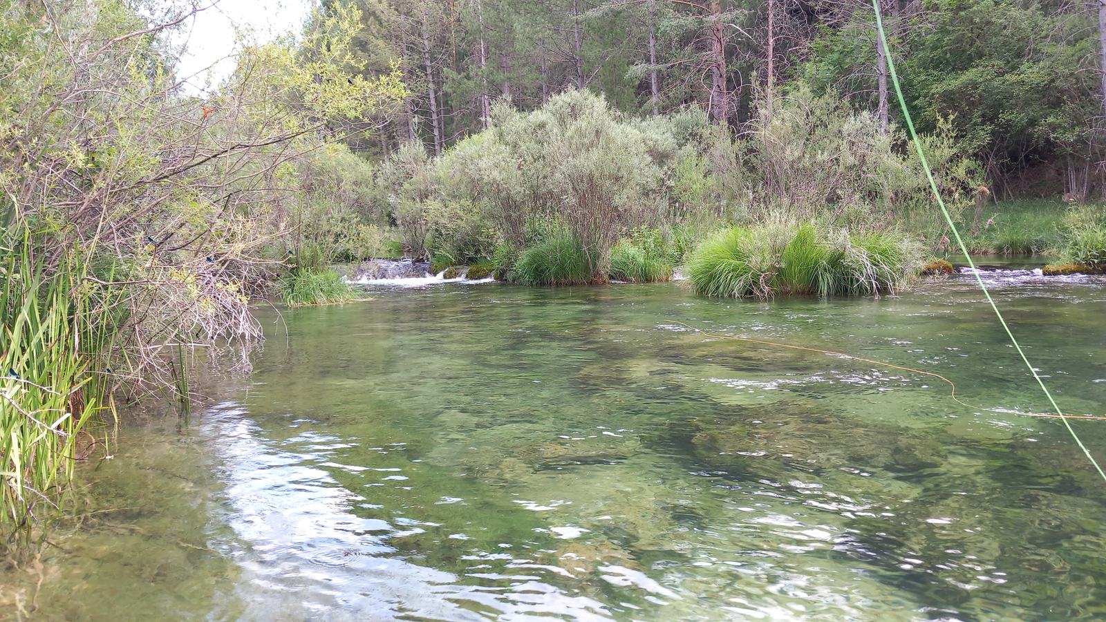 Línea de mosca sobre el agua
