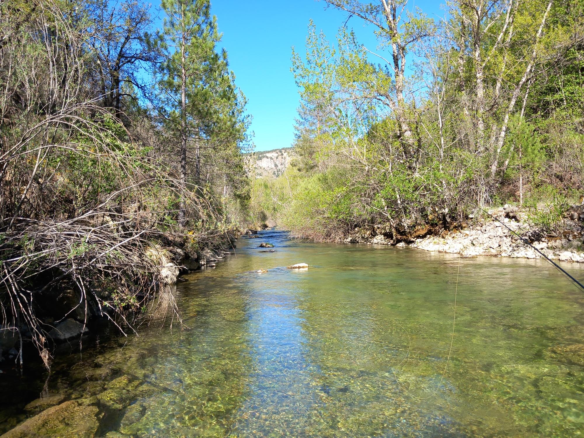 Fly rod and line over a clear-water river